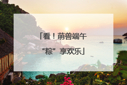 看！萌兽端午“粽”享欢乐